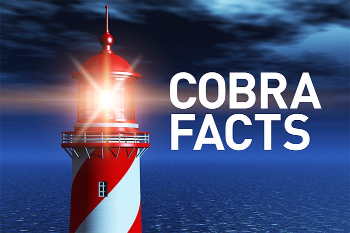 As Dragnet’s Joe Friday Would Say, “Just the Facts, Ma’am.” Get the Facts on COBRA Coverage – Who, When and How Long?